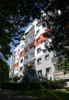 DSC4594187