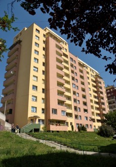 DSC4613